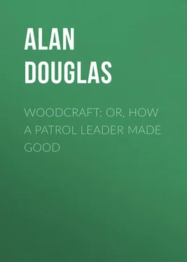 Alan Douglas Woodcraft: or, How a Patrol Leader Made Good обложка книги