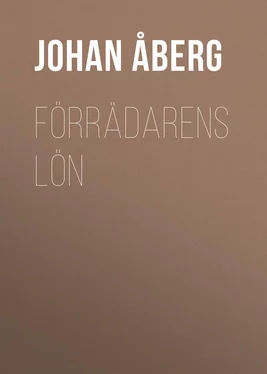 Johan Åberg Förrädarens lön обложка книги