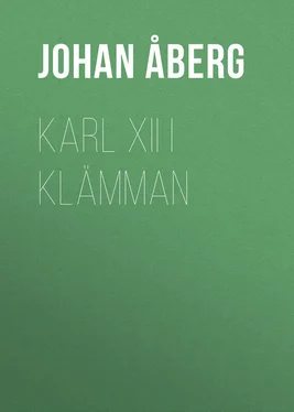 Johan Åberg Karl XII i klämman обложка книги