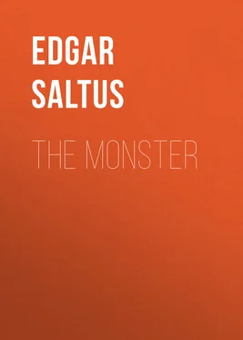 Edgar Saltus The Monster обложка книги