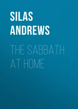 Silas Andrews The Sabbath at Home обложка книги