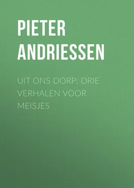 Pieter Andriessen Uit Ons Dorp: Drie Verhalen voor Meisjes обложка книги