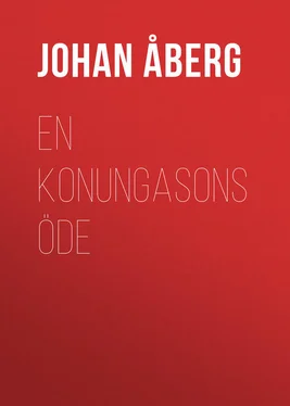Johan Åberg En konungasons öde обложка книги