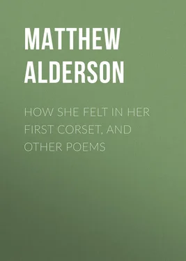 Matthew Alderson How She Felt in Her First Corset, and Other Poems обложка книги
