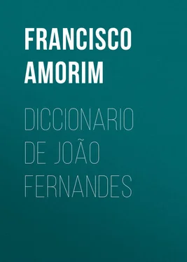 Francisco Amorim Diccionario de João Fernandes обложка книги