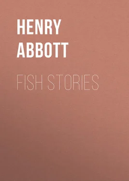 Henry Abbott Fish Stories обложка книги