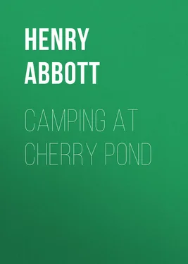 Henry Abbott Camping at Cherry Pond обложка книги