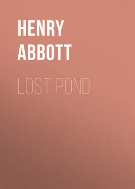 Henry Abbott Lost Pond обложка книги