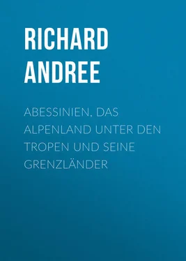 Richard Andree Abessinien, das Alpenland unter den Tropen und seine Grenzländer обложка книги