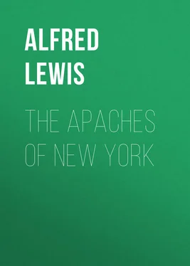 Alfred Lewis The Apaches of New York обложка книги