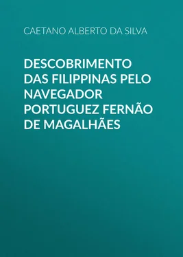 Caetano Alberto da Silva Descobrimento das Filippinas pelo navegador portuguez Fernão de Magalhães обложка книги