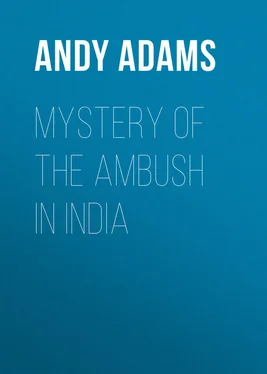 Andy Adams Mystery of the Ambush in India обложка книги