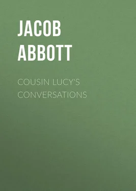 Jacob Abbott Cousin Lucy's Conversations обложка книги