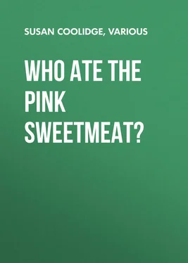 Susan Coolidge Who ate the pink sweetmeat? обложка книги