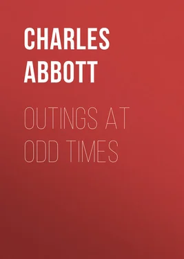 Charles Abbott Outings At Odd Times обложка книги