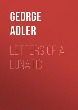 George Adler Letters of a Lunatic обложка книги
