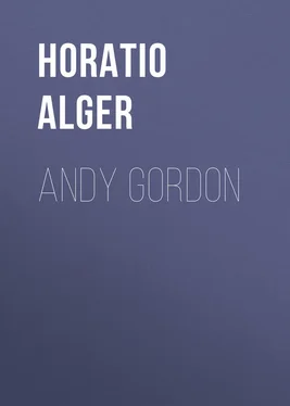 Horatio Alger Andy Gordon обложка книги