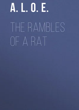 A. L. O. E. The Rambles of a Rat обложка книги