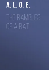 A. L. O. E. - The Rambles of a Rat