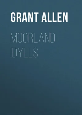 Grant Allen Moorland Idylls обложка книги