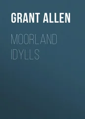 Grant Allen - Moorland Idylls