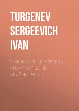 Turgenev Ivan Visionen und andere phantastische Erzählungen обложка книги