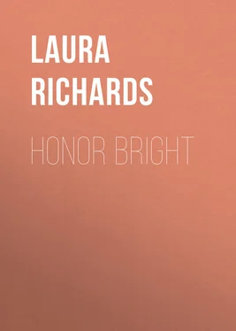 Laura Richards Honor Bright обложка книги