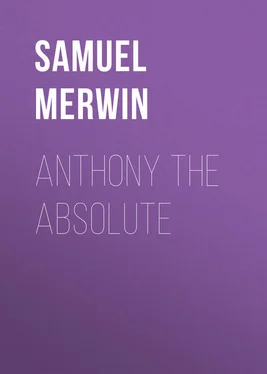 Samuel Merwin Anthony The Absolute обложка книги