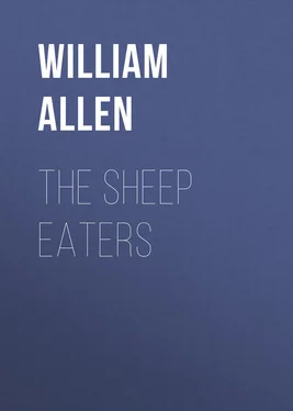 William Allen The Sheep Eaters обложка книги