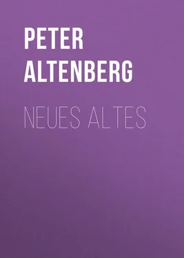 Peter Altenberg Neues Altes обложка книги