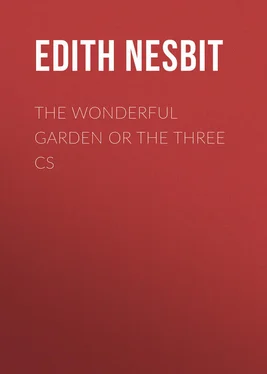 Edith Nesbit The Wonderful Garden or The Three Cs обложка книги