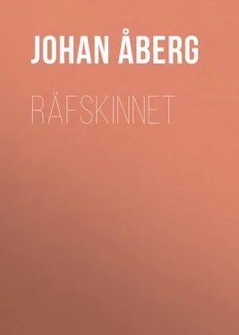 Johan Åberg Räfskinnet обложка книги