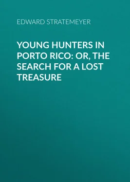 Edward Stratemeyer Young Hunters in Porto Rico: or, The Search for a Lost Treasure обложка книги