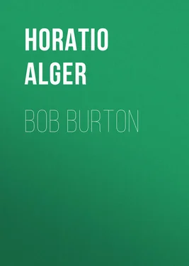 Horatio Alger Bob Burton обложка книги