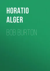 Horatio Alger - Bob Burton