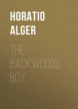 Horatio Alger The Backwoods Boy обложка книги