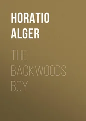 Horatio Alger - The Backwoods Boy