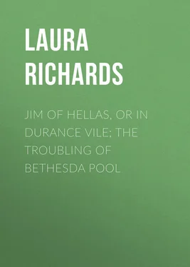 Laura Richards Jim of Hellas, or In Durance Vile; The Troubling of Bethesda Pool обложка книги