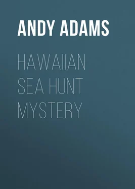 Andy Adams Hawaiian Sea Hunt Mystery обложка книги