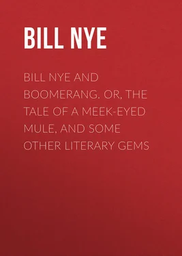 Bill Nye Bill Nye and Boomerang. Or, The Tale of a Meek-Eyed Mule, and Some Other Literary Gems обложка книги