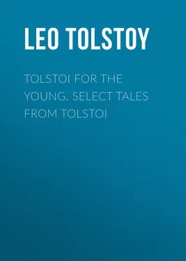 Leo Tolstoy Tolstoi for the young. Select tales from Tolstoi обложка книги