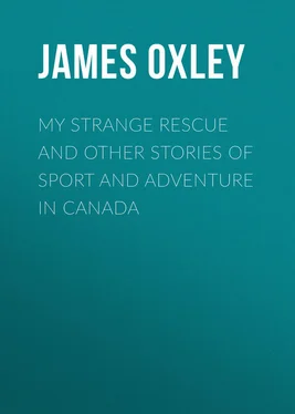 James Oxley My Strange Rescue and other stories of Sport and Adventure in Canada обложка книги