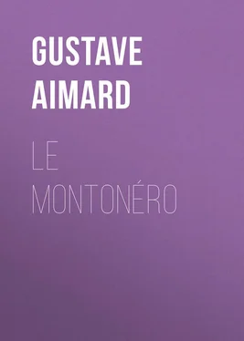 Gustave Aimard Le Montonéro обложка книги