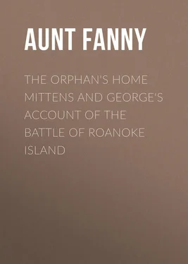 Aunt Fanny The Orphan's Home Mittens and George's Account of the Battle of Roanoke Island обложка книги