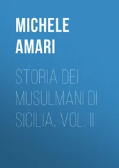 Michele Amari - Storia dei musulmani di Sicilia, vol. II
