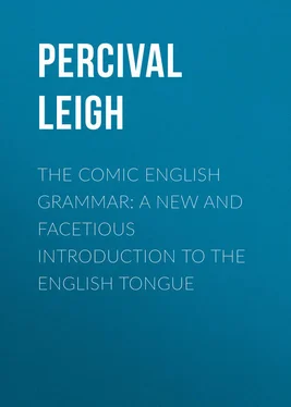 Percival Leigh The Comic English Grammar: A New And Facetious Introduction To The English Tongue обложка книги