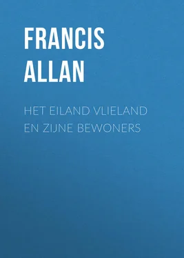 Francis Allan Het Eiland Vlieland en Zijne Bewoners обложка книги