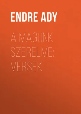 Endre Ady A magunk szerelme: Versek обложка книги