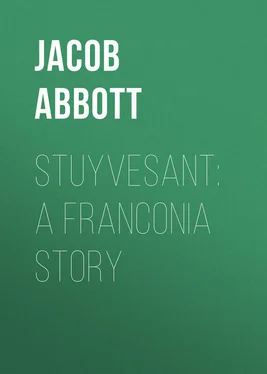 Jacob Abbott Stuyvesant: A Franconia Story обложка книги