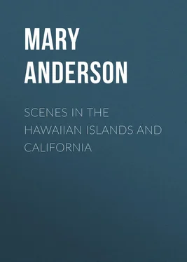 Mary Anderson Scenes in the Hawaiian Islands and California обложка книги